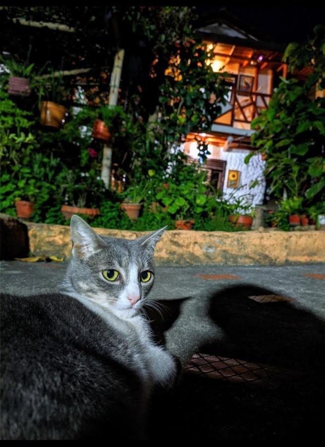 Hospedaje El Jardin ซานอากุสติน ภายนอก รูปภาพ